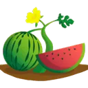 watermelon
