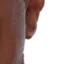 steve_4_3