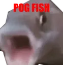 Pogfish PogFish Discord Emoji
