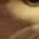 buffering_1_3