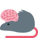 rat_big_brain rat_big_brain