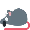 rat_screaming