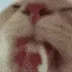 SClicklick