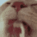 [Image: 717272386101313577.gif?v=1]