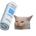 CatBonk