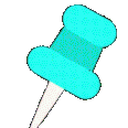 SPpin