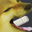 DogeNom Discord Emoji