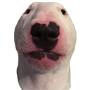 TM_Walter Discord emoji