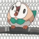 RowletSaysREEEEEEEEEE