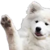DogWave