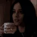 daisysip daisysip