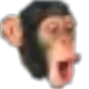 PoogChimp