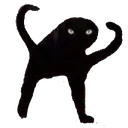CatAngry_2