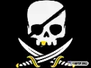 pirateREACTION