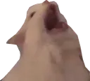 Screm screm Discord Emoji