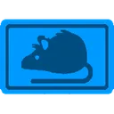 rat_banknote