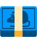 rat_banknote_stack