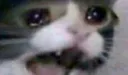 scremcat