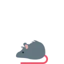 rat_small