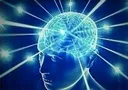yourbrainonintepCC