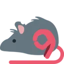 rat_circle_game
