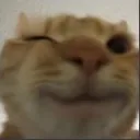 Wink