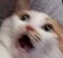 ohno