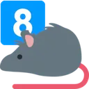 rat_eight