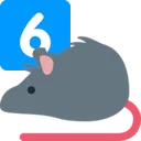 rat_six