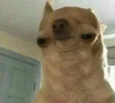 wut
