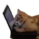 mikascreen