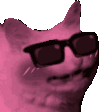 catSunglassesparty Discord Emoji