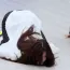 aestherslide