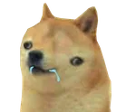 dogepilled Discord Emoji