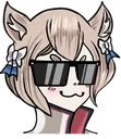 aluoswag