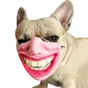 trolldogface