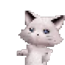 AGS_Dancecat