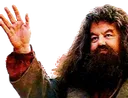 AGS_Hagrid
