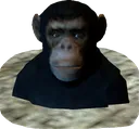 ApeGang