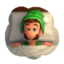 luigisleeping