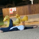 ad_1adam