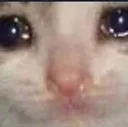 cri cri