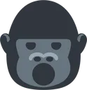 gorillaO