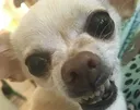 aaaaaaaaaahhhh