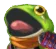 frog
