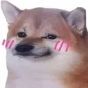 chonkyblush chonkyblush