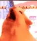 rararara rararara