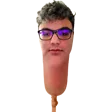 gorbDOG