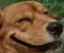 hehe