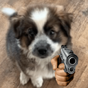 tofugun Discord emoji